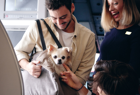Passenger with dog on board Iberia A320 Neo